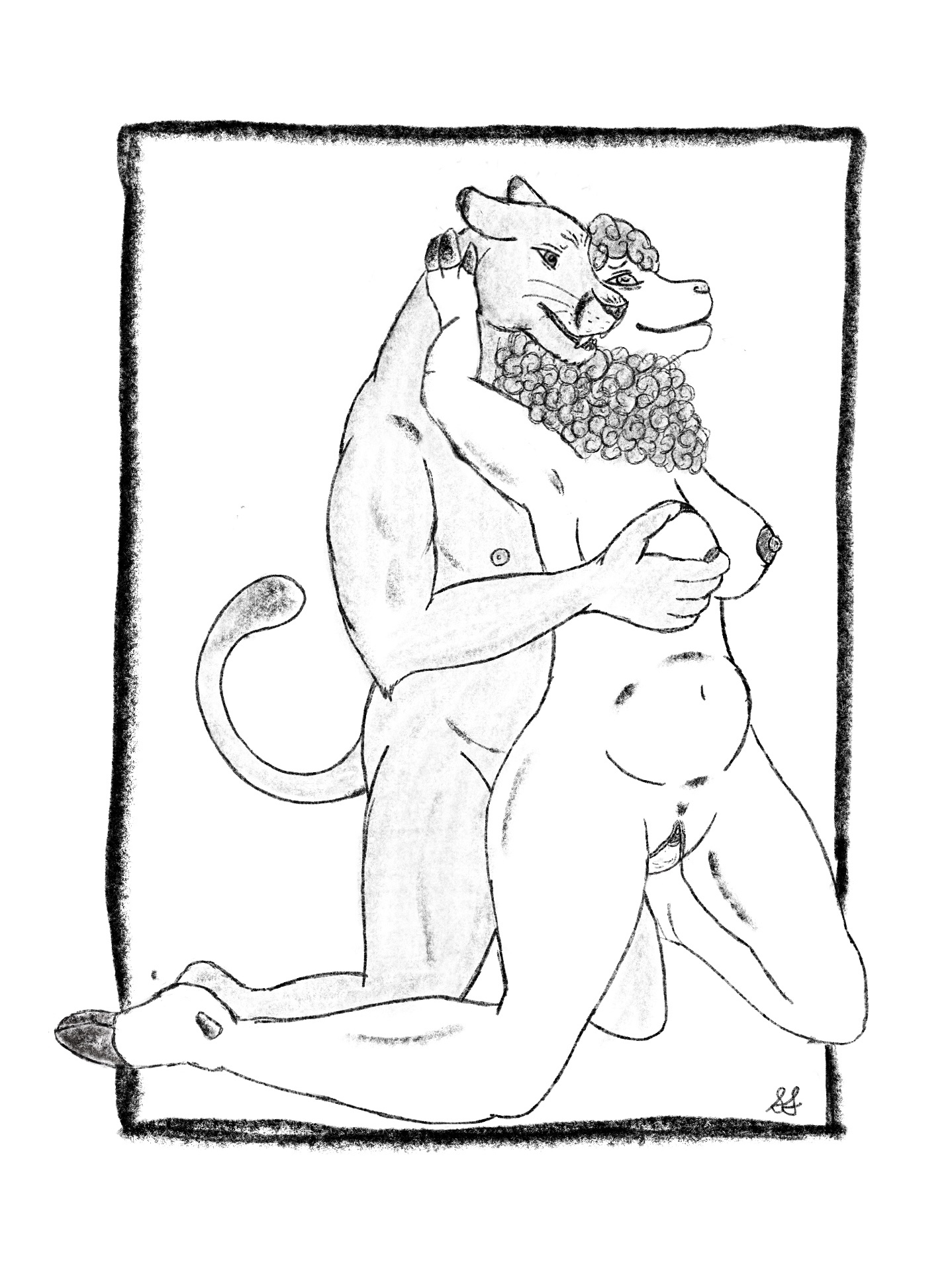 Animal Genitalia Rule 34 Image