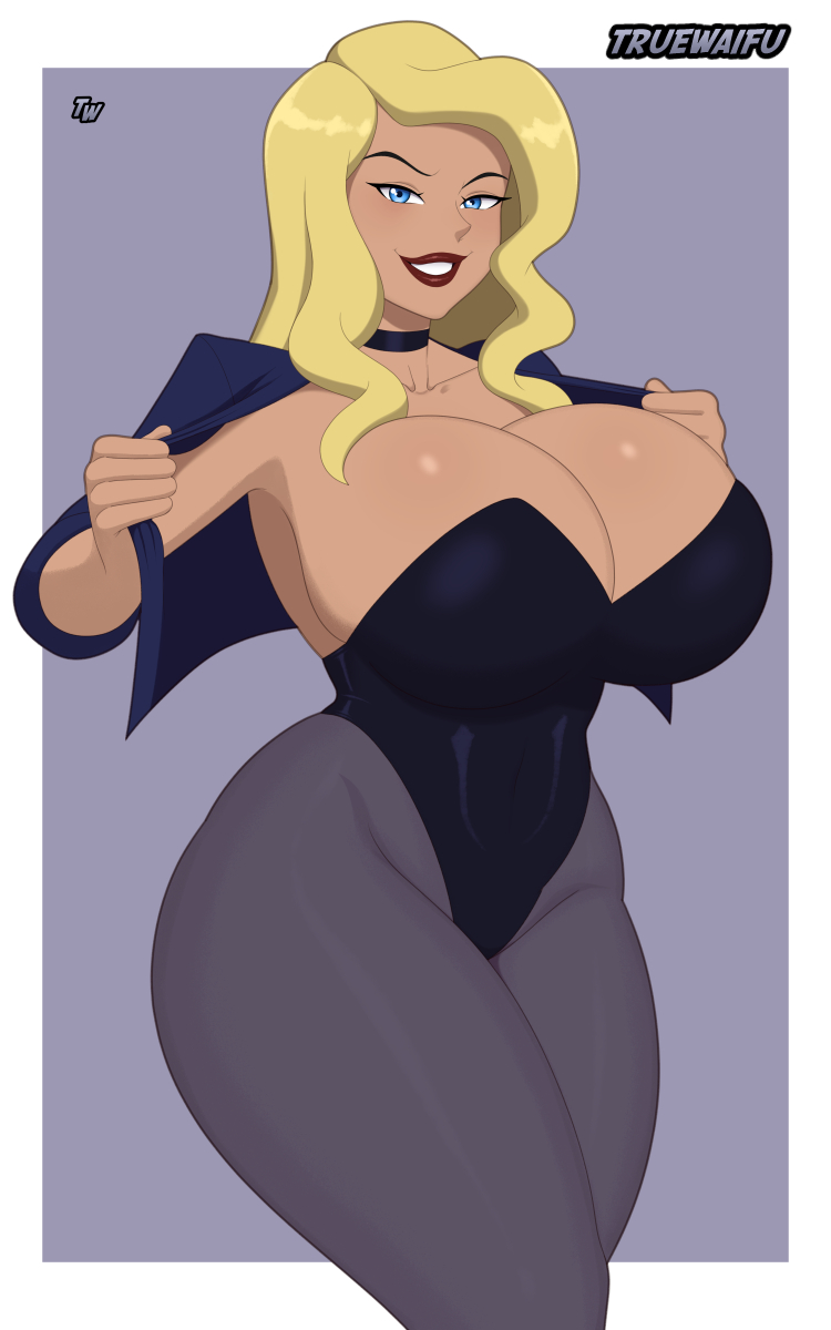 Black Canary (Dc) Rule 34 Image