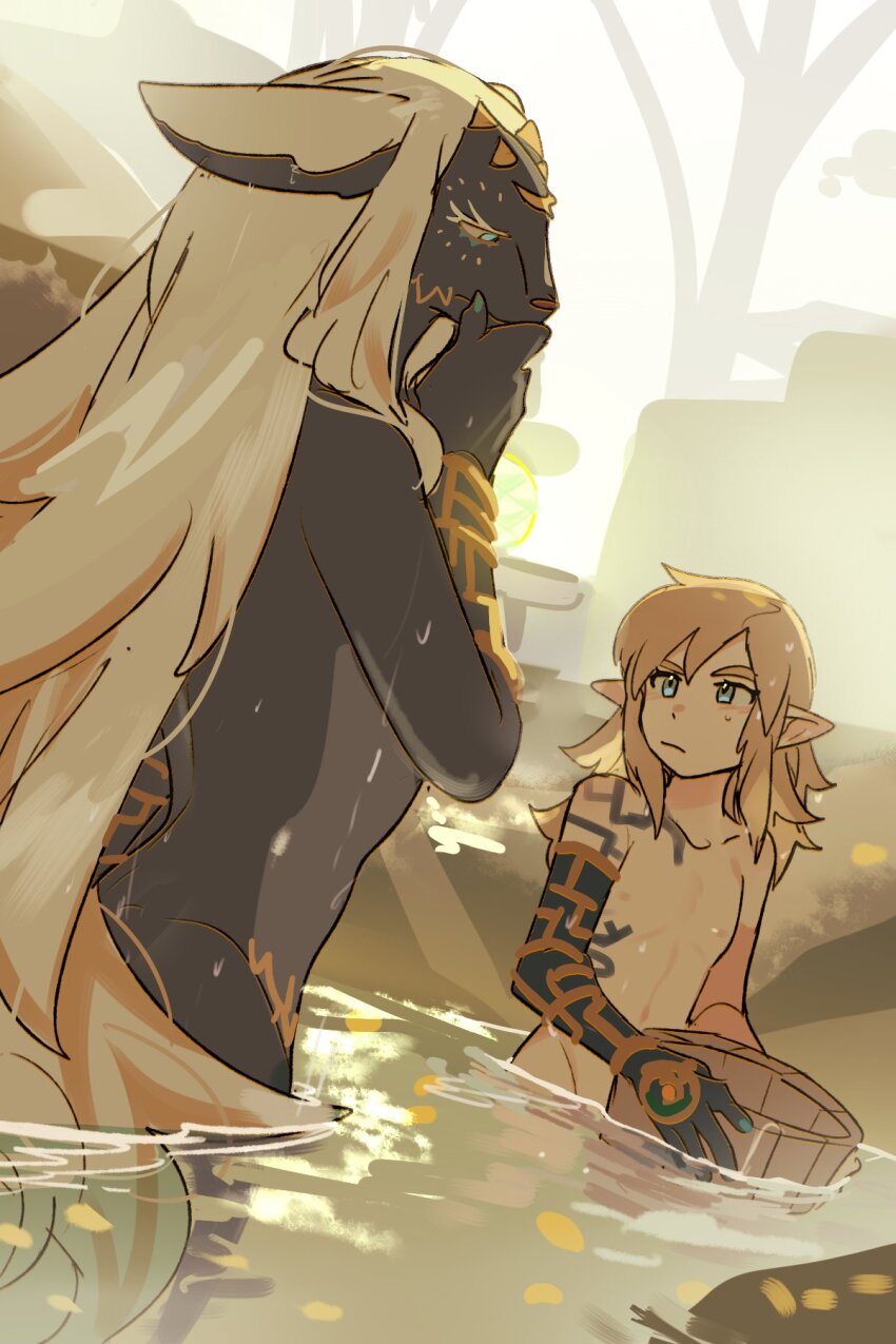 Link (Nintendo) Rule 34 Image