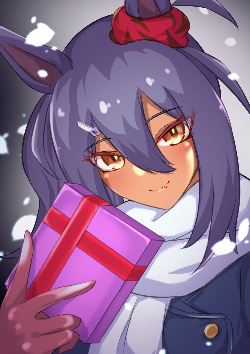 Hishi Amazon (Umamusume) Rule 34 Image