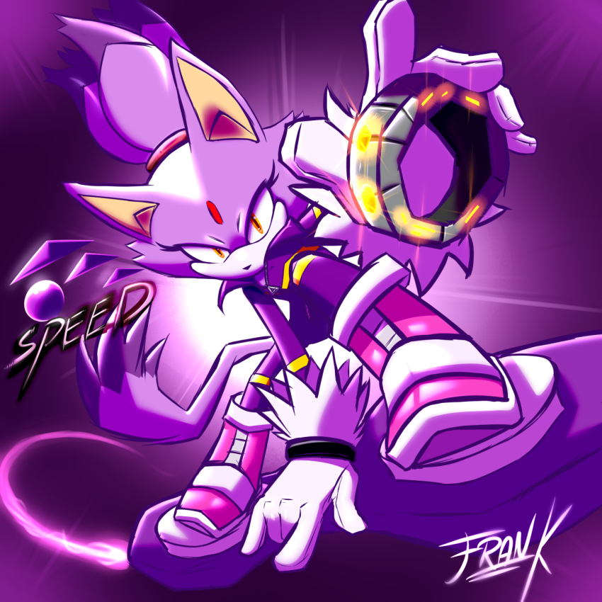 Blaze The Cat (Sonic (Series)) Rule 34 Image