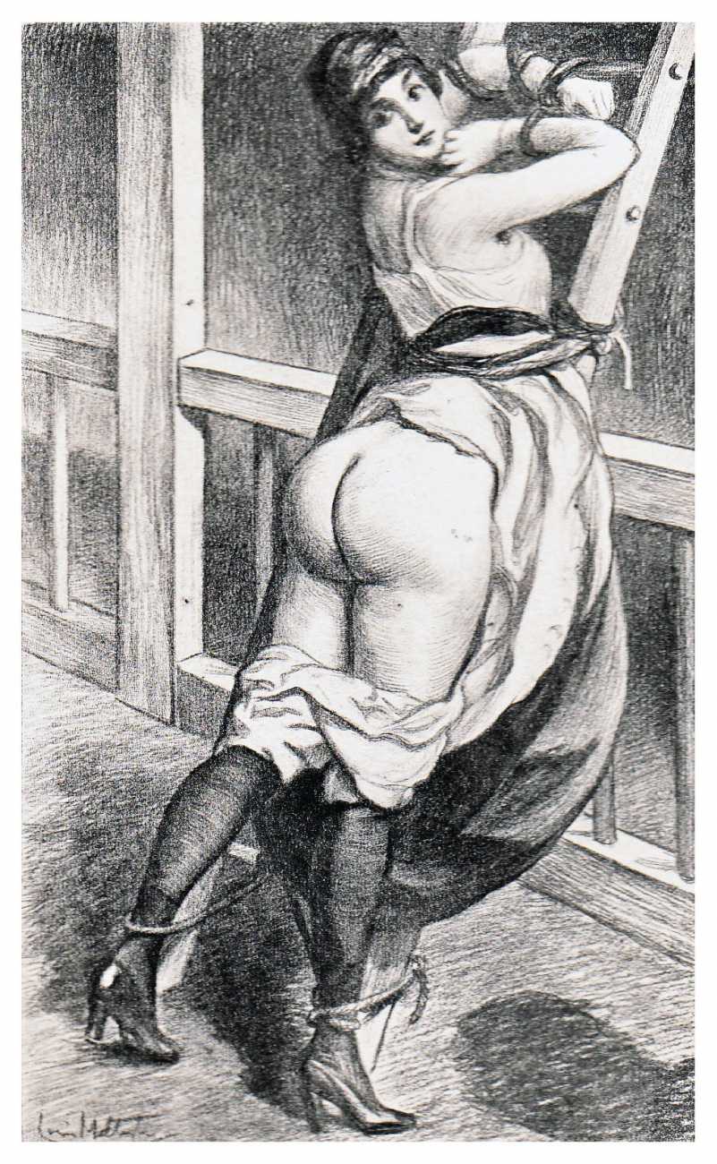 Bloomers (Victorian) Rule 34 Image