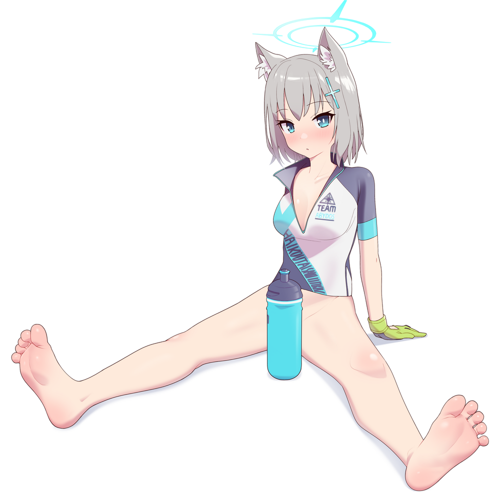 Shiroko (Blue Archive) Rule 34 Image