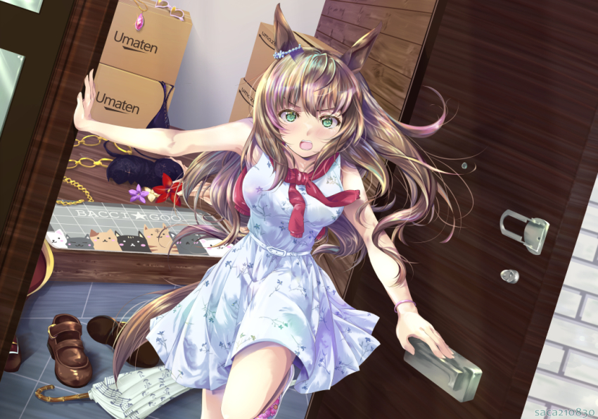 Maruzensky (Umamusume) Rule 34 Image