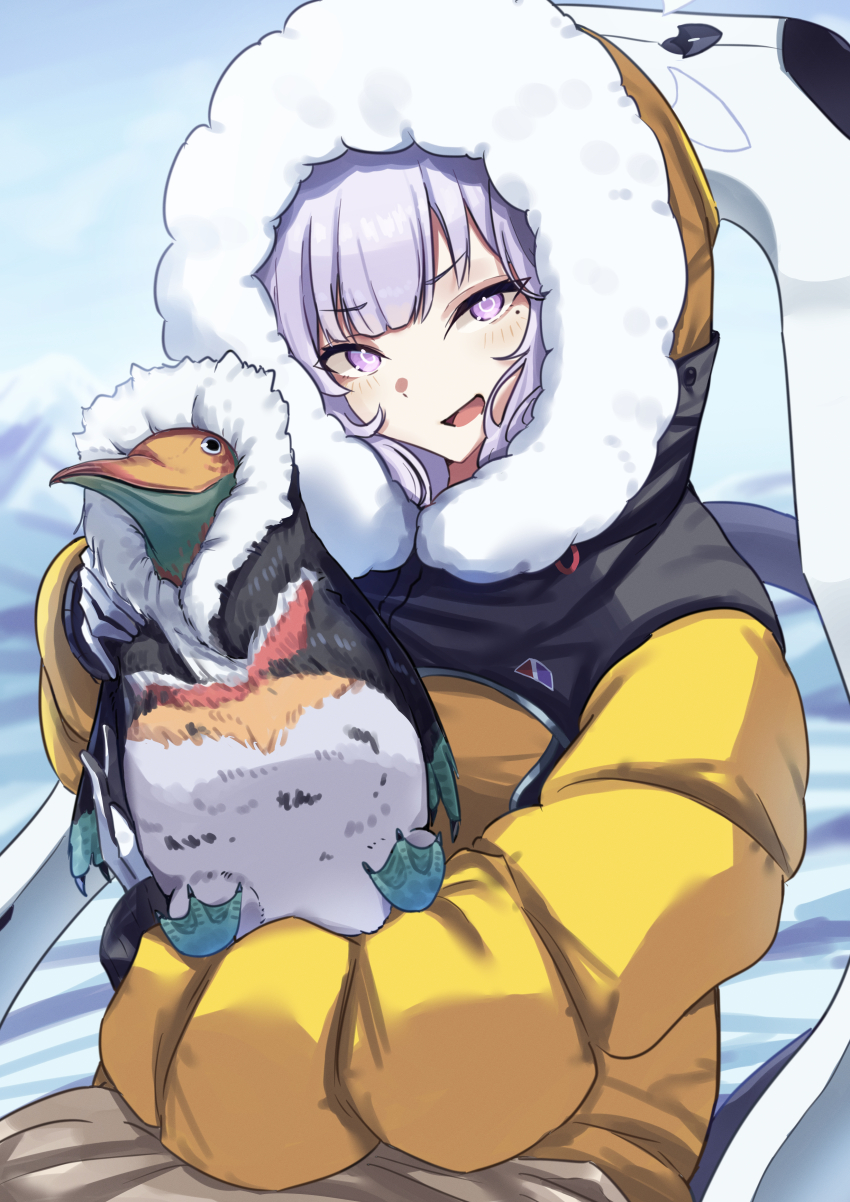 Himari (Blue Archive) Rule 34 Image