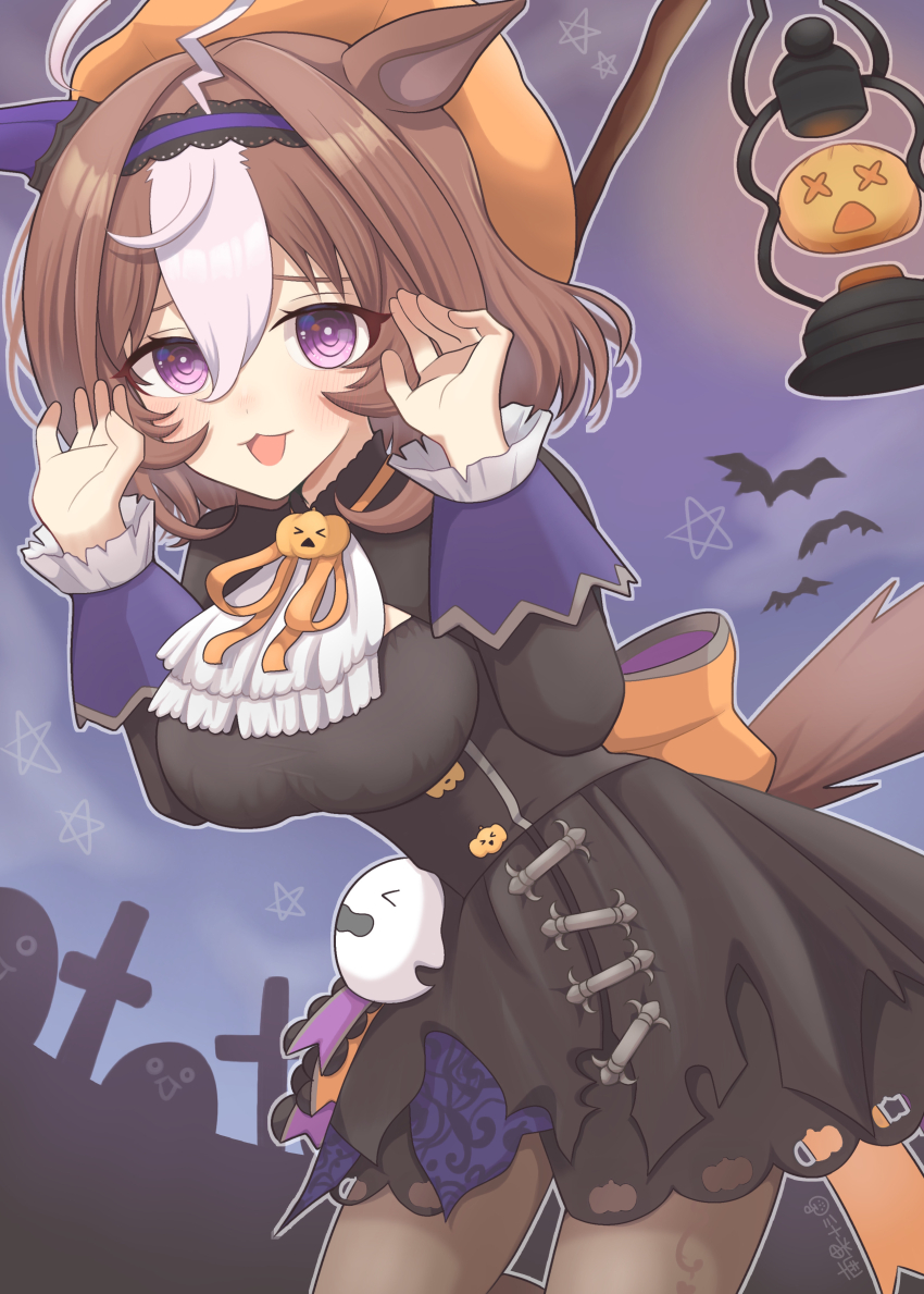 Meisho Doto (Umamusume) Rule 34 Image