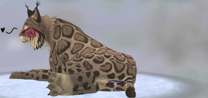Animal Genitalia Rule 34 Image