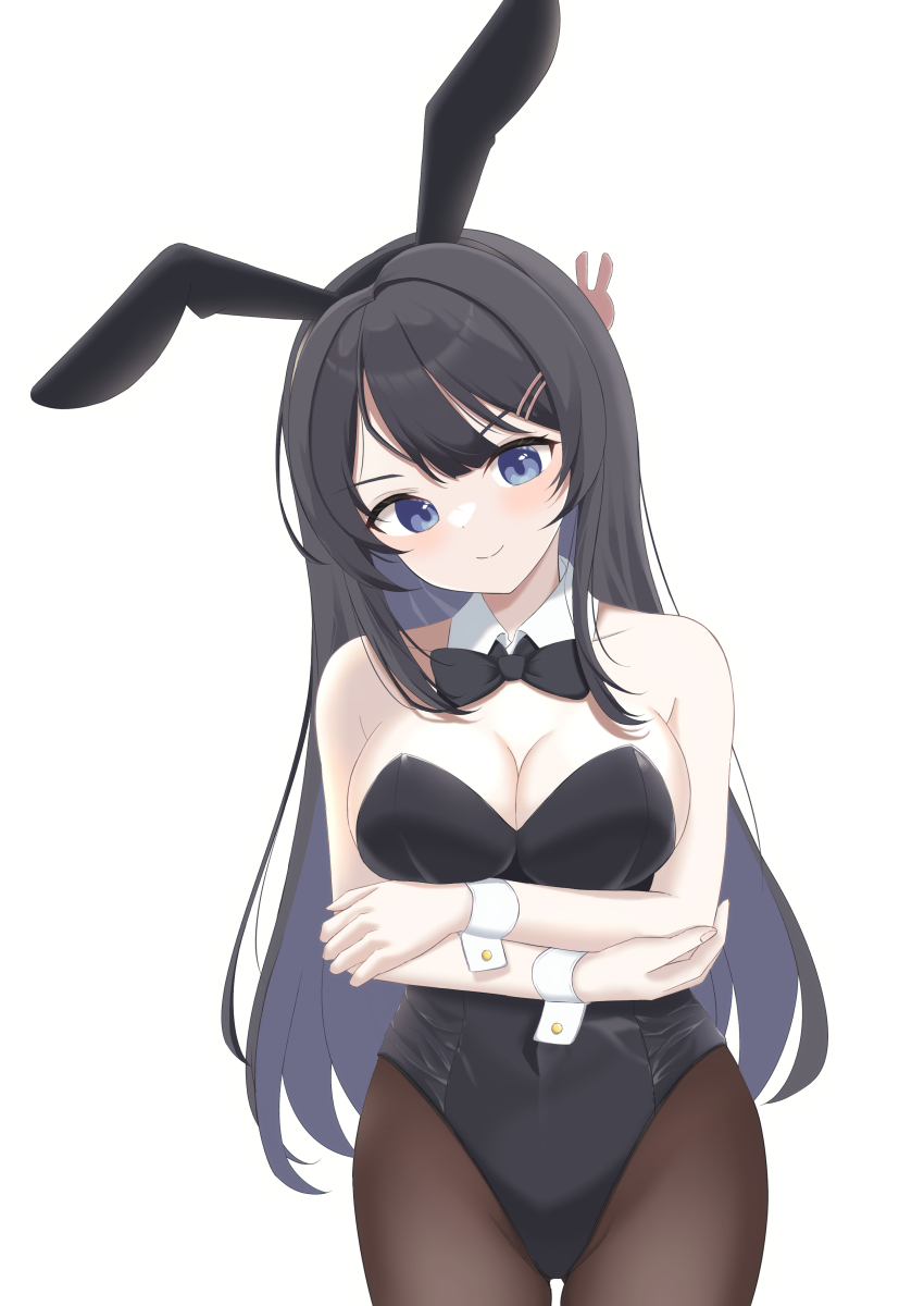 Sakurajima Mai (Seishun Buta Yarou) Rule 34 Image