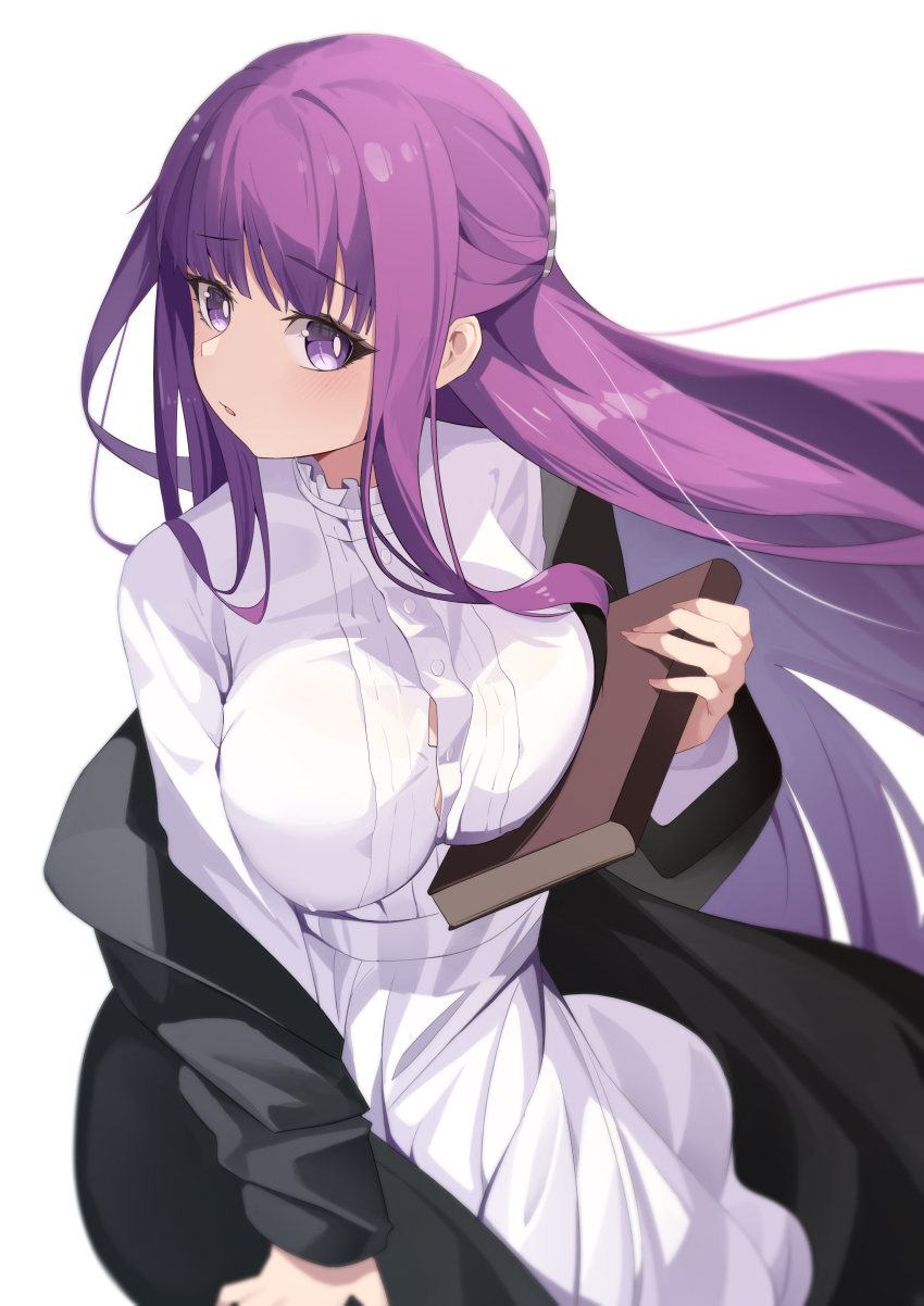 Fern (Sousou No Frieren) Rule 34 Image