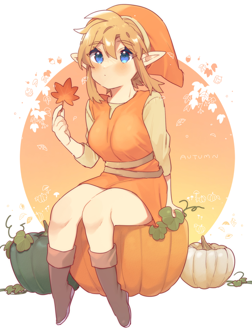 Link (Nintendo) Rule 34 Image