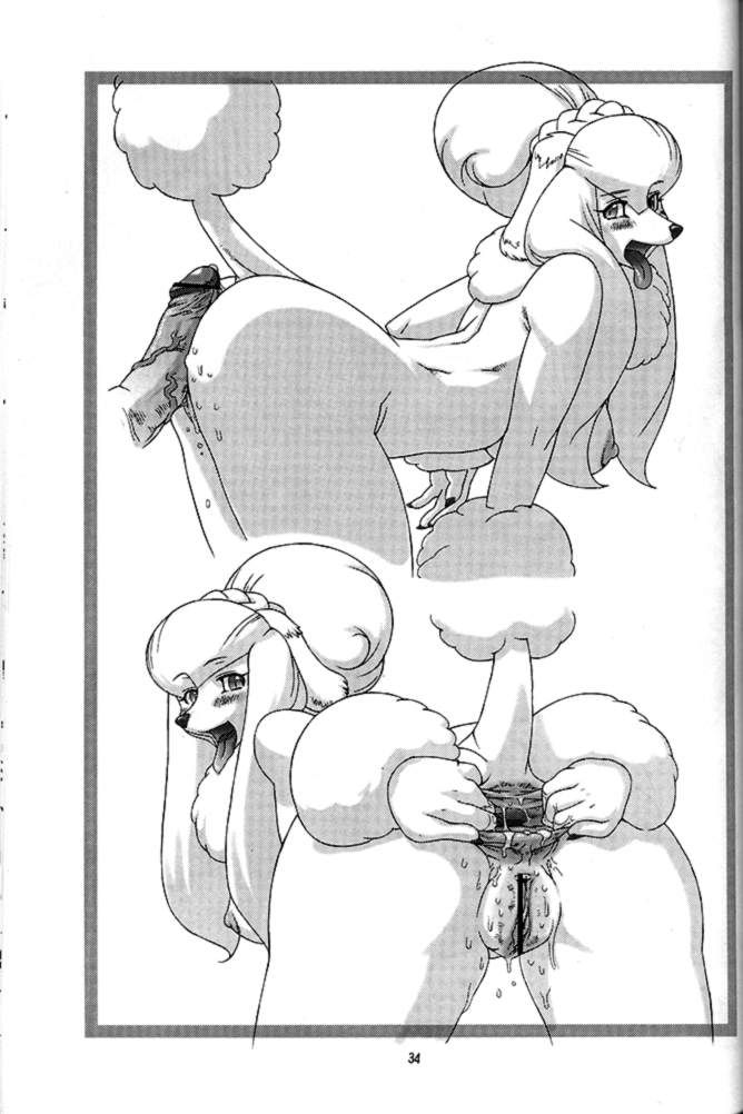 1girls Rule 34 Image