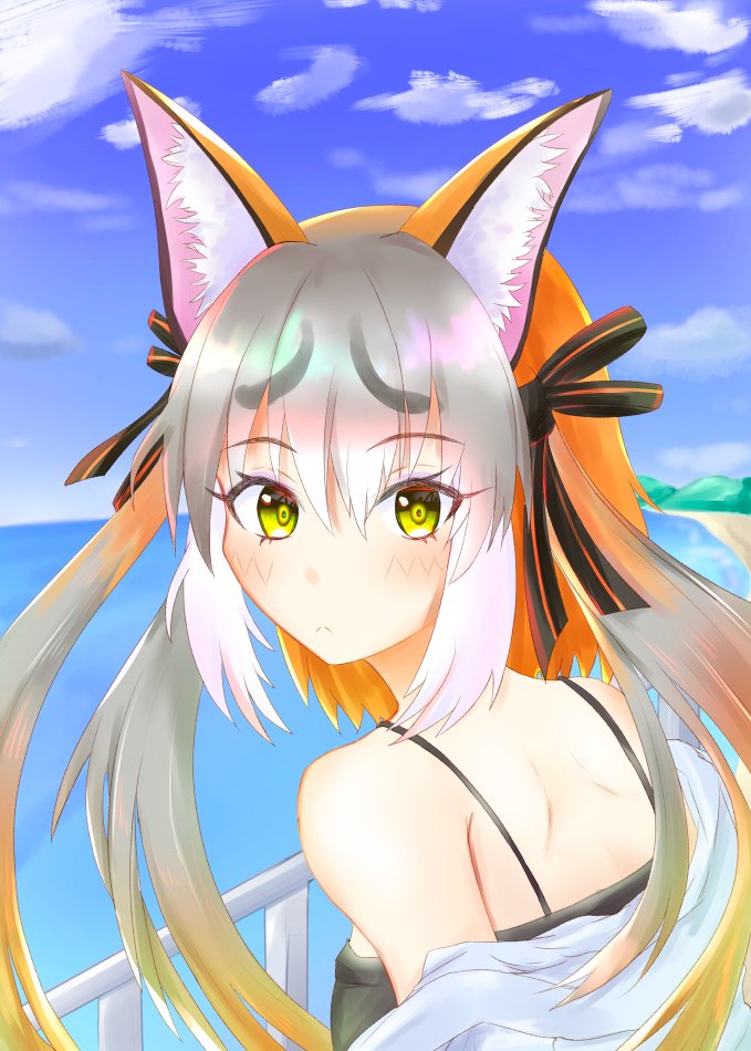 Island Fox (Kemono Friends) Rule 34 Image