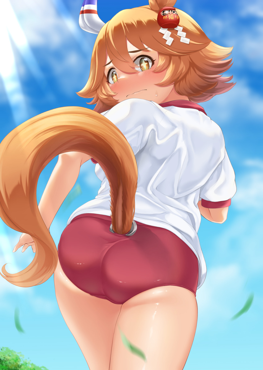 Matikanefukukitaru (Umamusume) Rule 34 Image