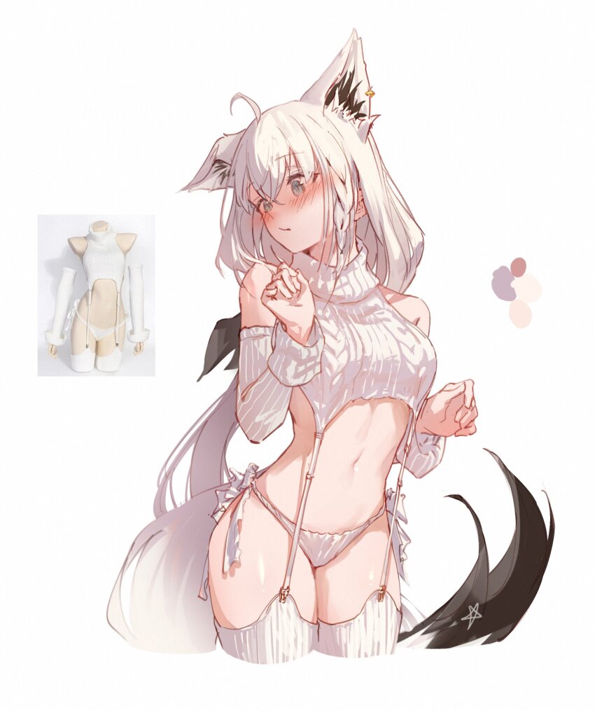 Shirakami Fubuki (Hololive) Rule 34 Image