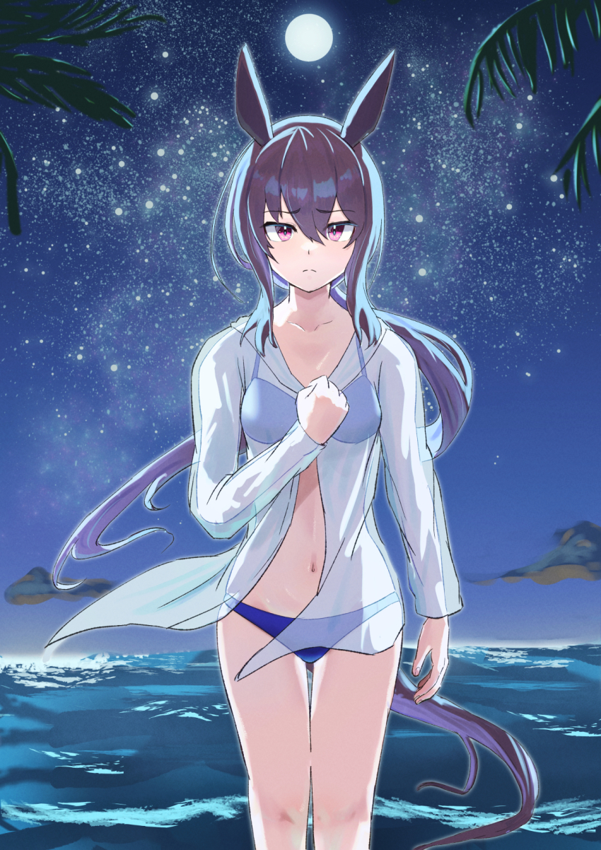 Admire Vega (Umamusume) Rule 34 Image
