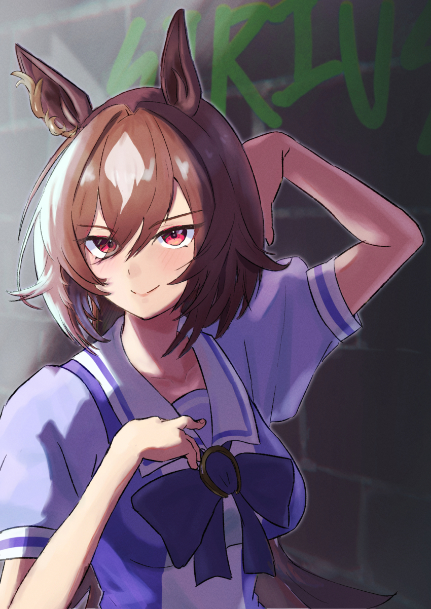 Sirius Symboli (Umamusume) Rule 34 Image