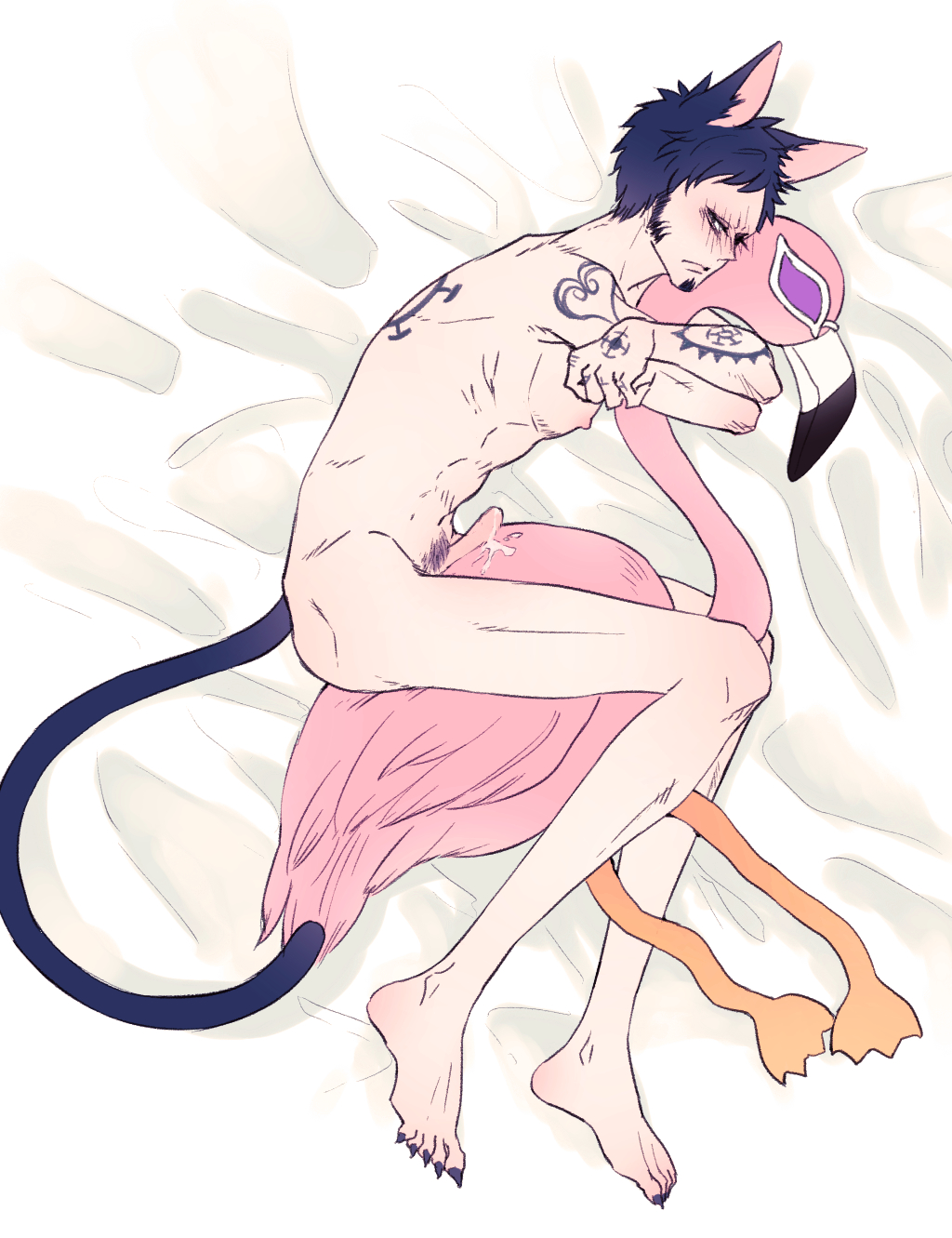 Trafalgar Law (One Piece) Rule 34 Image
