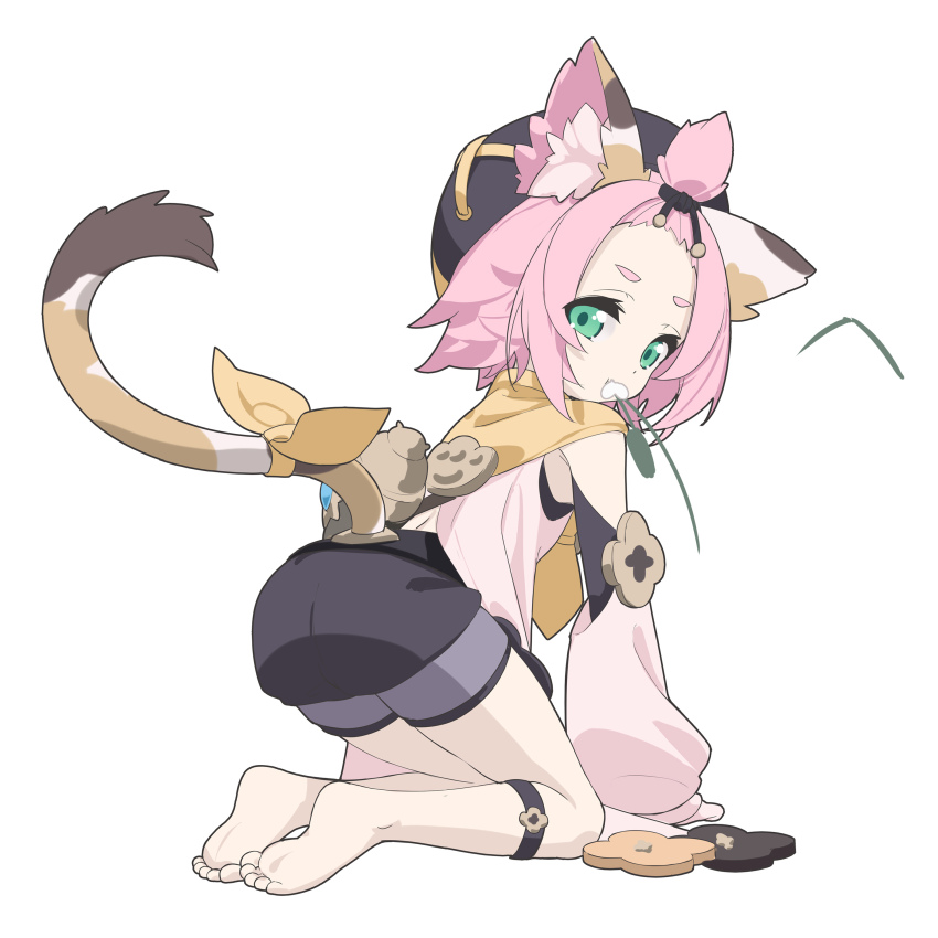 Diona (Genshin Impact) Rule 34 Image
