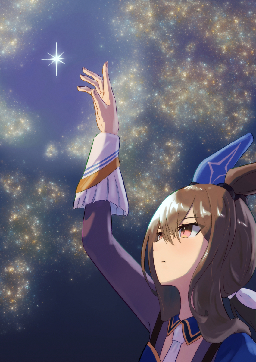 Admire Vega (Umamusume) Rule 34 Image