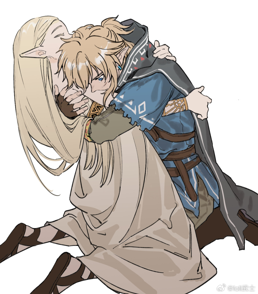 Link (Nintendo) Rule 34 Image