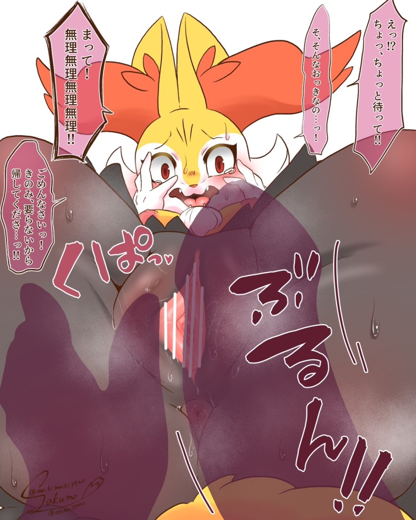 Braixen (Nintendo) Rule 34 Image