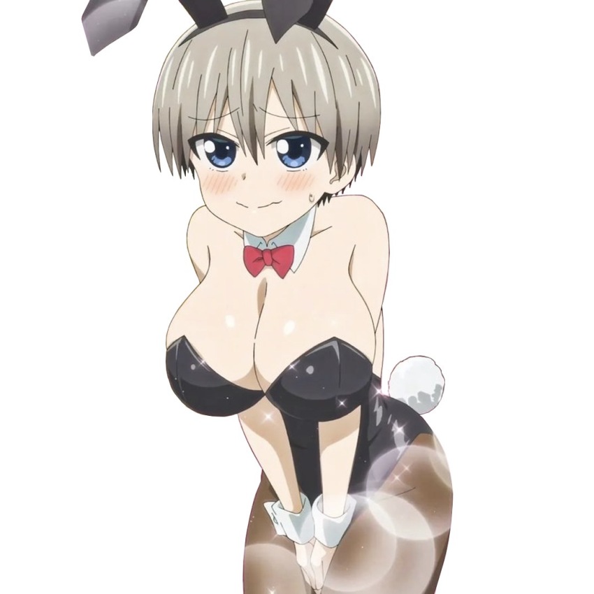 Uzaki Hana (Uzaki-Chan Wa Asobitai!) Rule 34 Image