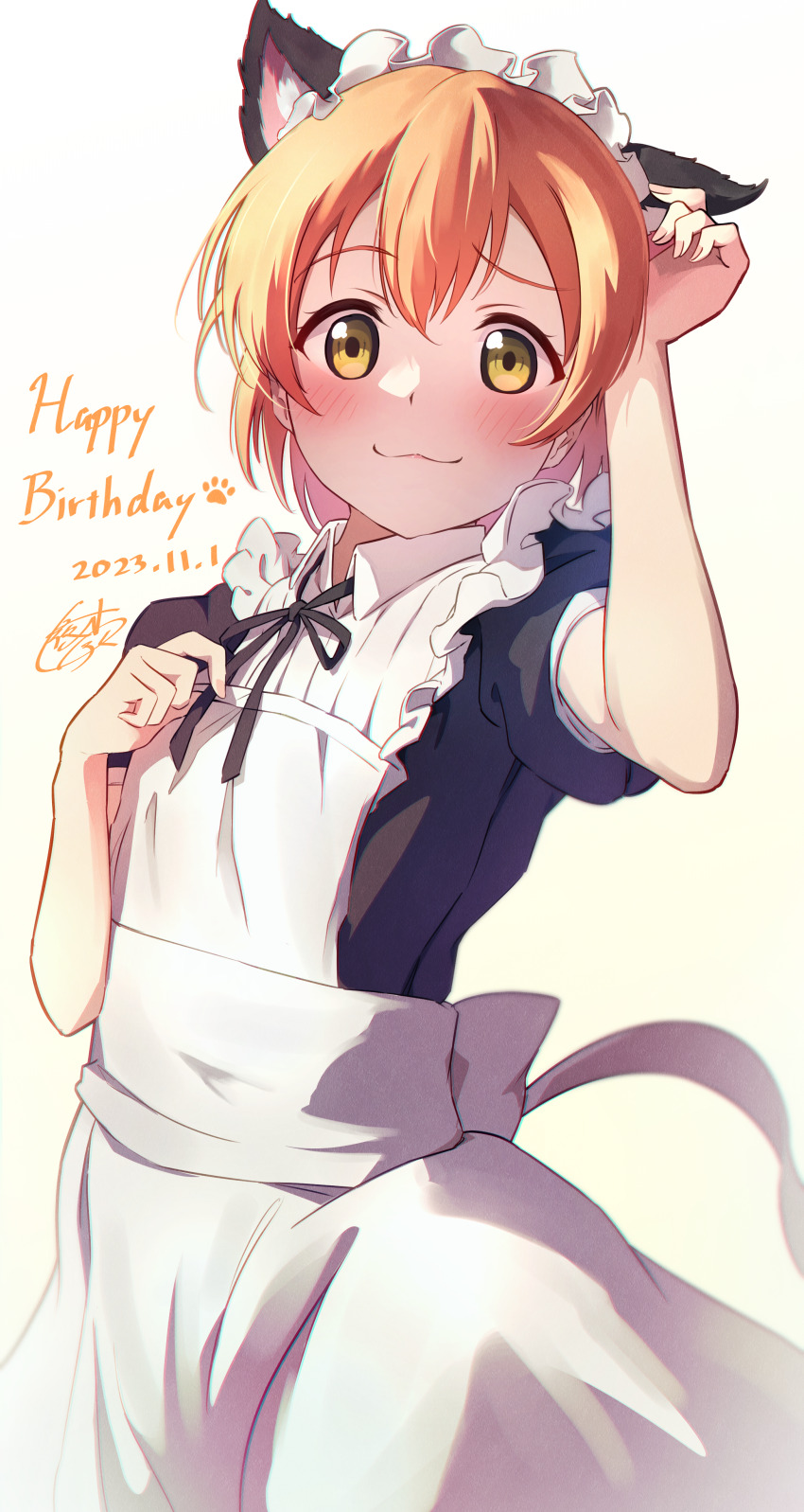 Hoshizora Rin (Love Live!) Rule 34 Image