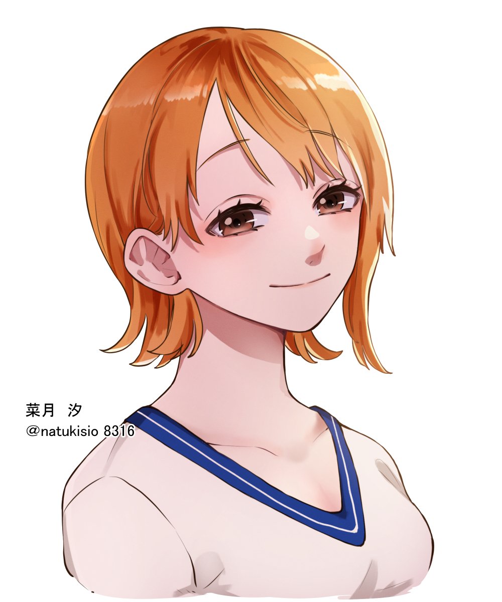 Nami (One Piece) Rule 34 Image