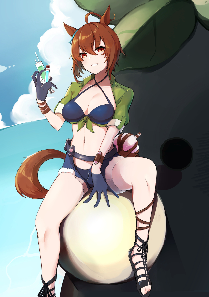 Agnes Tachyon (Lunatic Lab) (Umamusume) Rule 34 Image