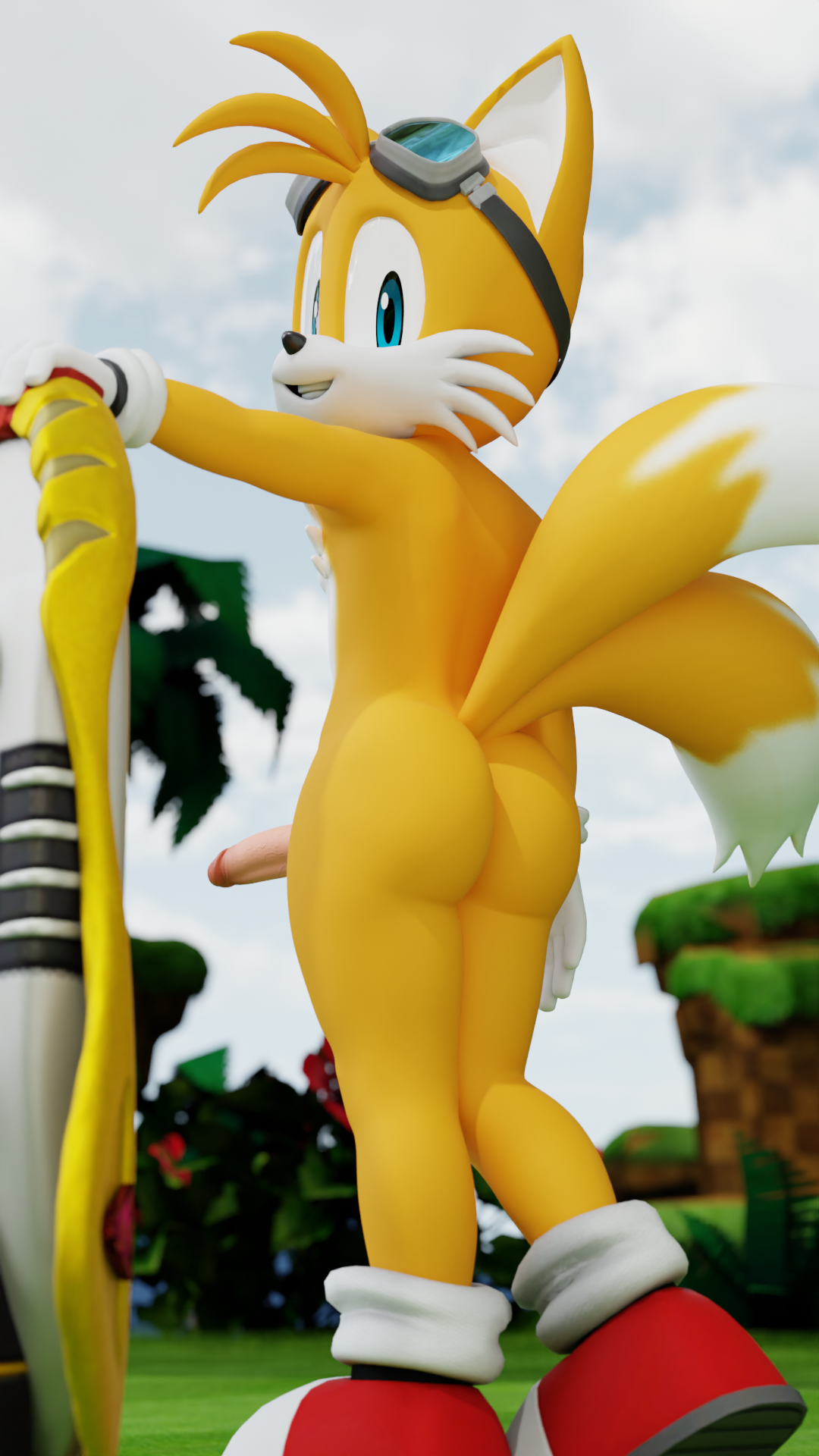 Tails The Fox (Sega) Rule 34 Image