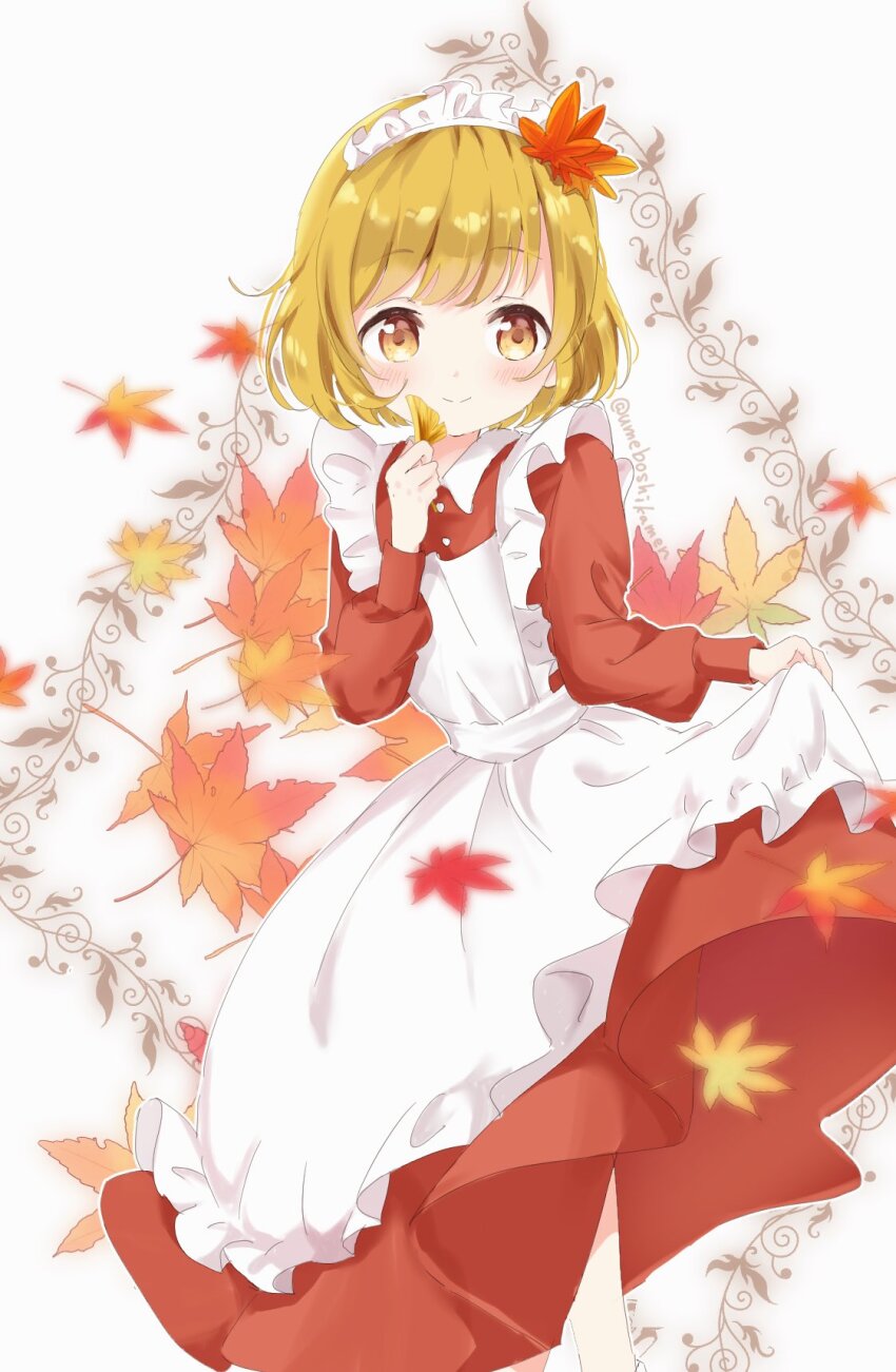 Aki Shizuha (Touhou) Rule 34 Image