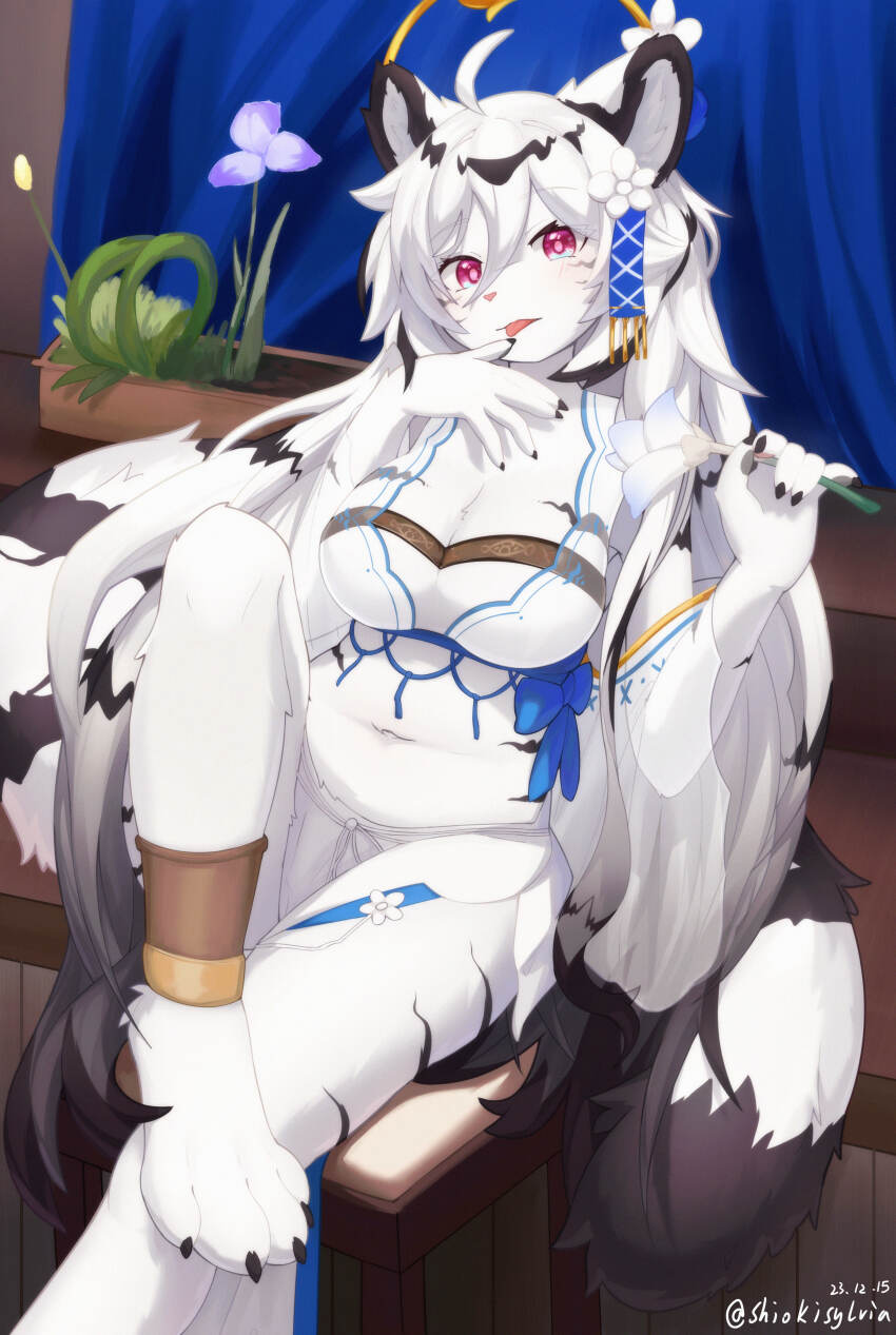 Hannah (Mahjong Soul) Rule 34 Image