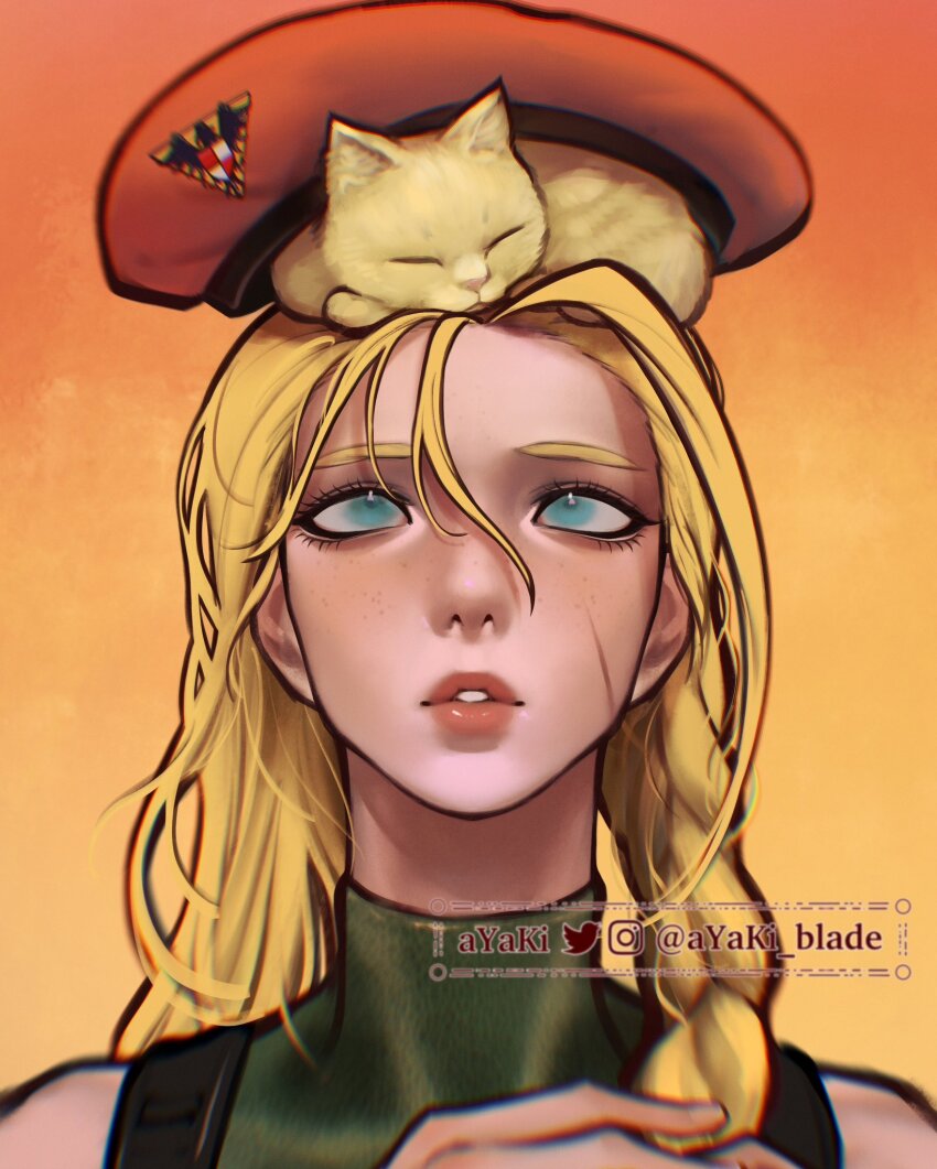 Cammy White (Street Fighter) Rule 34 Image