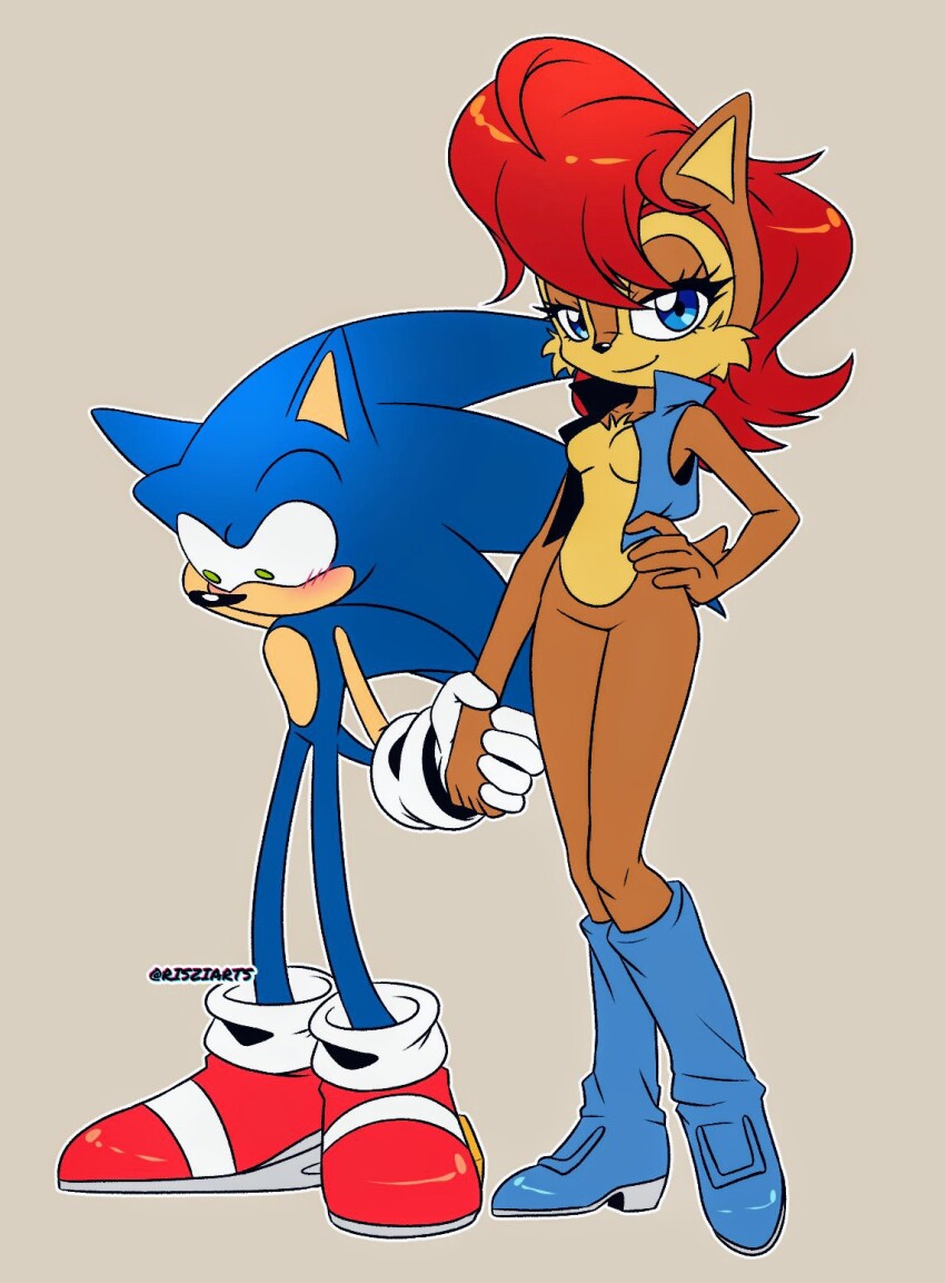 Sally Acorn (Sonic (Series)) Rule 34 Image