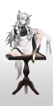 Lappland (Arknights) Rule 34 Image