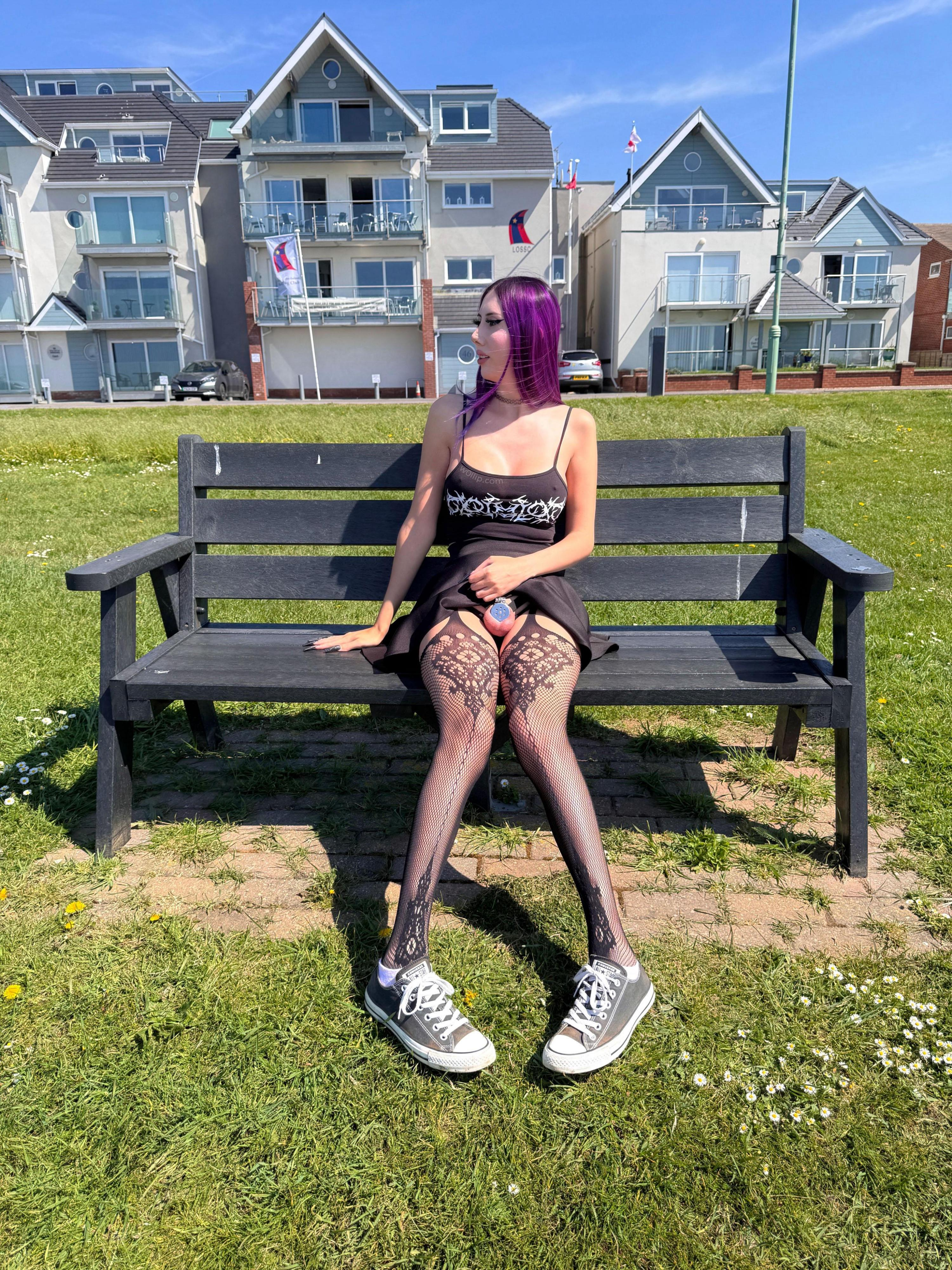 Bench Rule 34 Image
