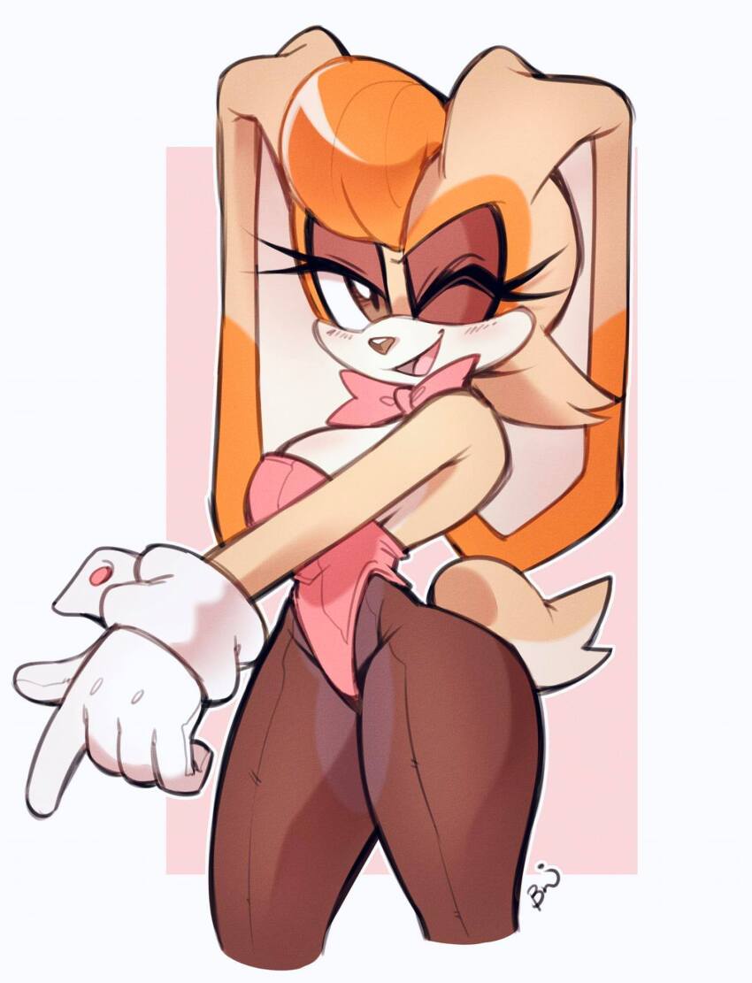 Vanilla The Rabbit (Sonic (Series)) Rule 34 Image