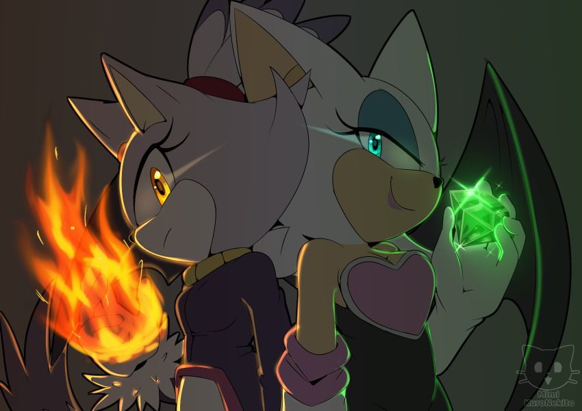 Blaze The Cat (Sonic (Series)) Rule 34 Image
