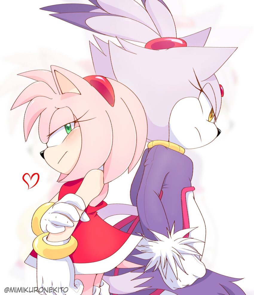 Amy Rose (Sonic (Series)) Rule 34 Image