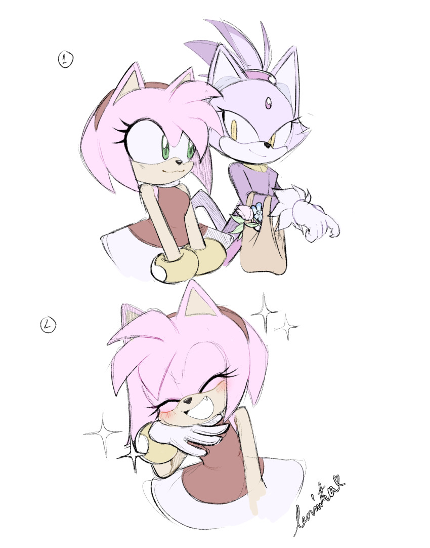 Amy Rose (Sonic (Series)) Rule 34 Image
