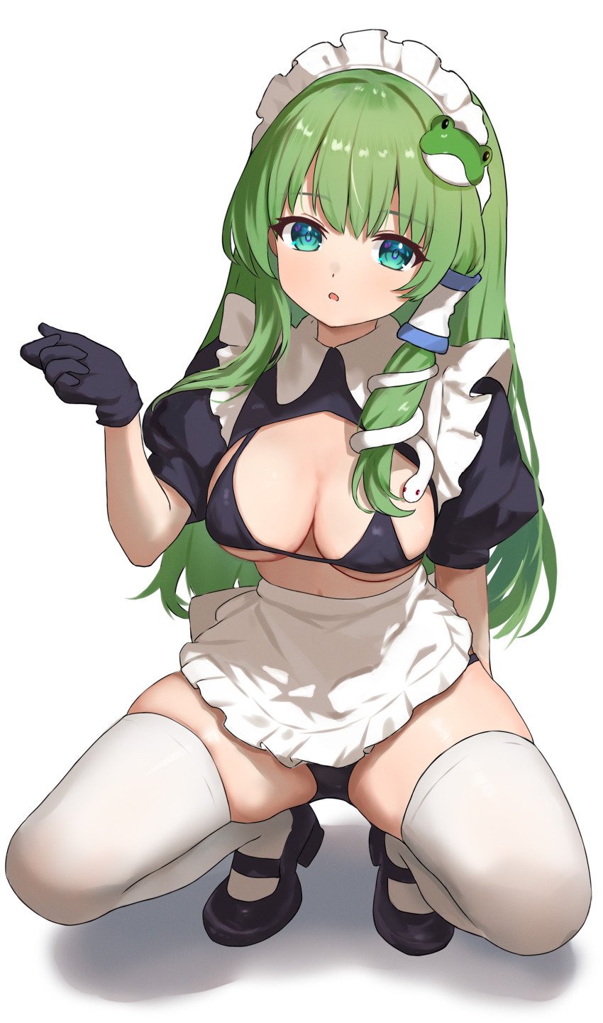 Kochiya Sanae (Touhou) Rule 34 Image