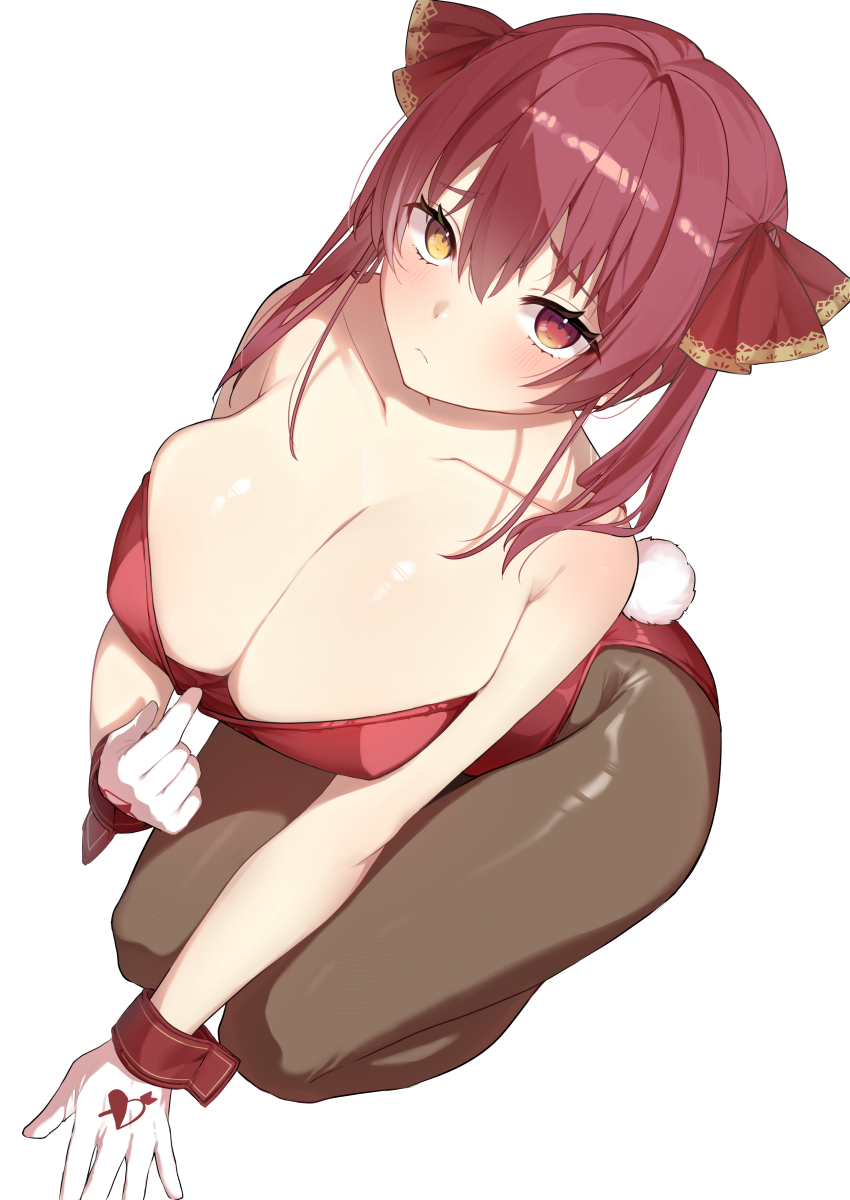 Houshou Marine (Hololive) Rule 34 Image