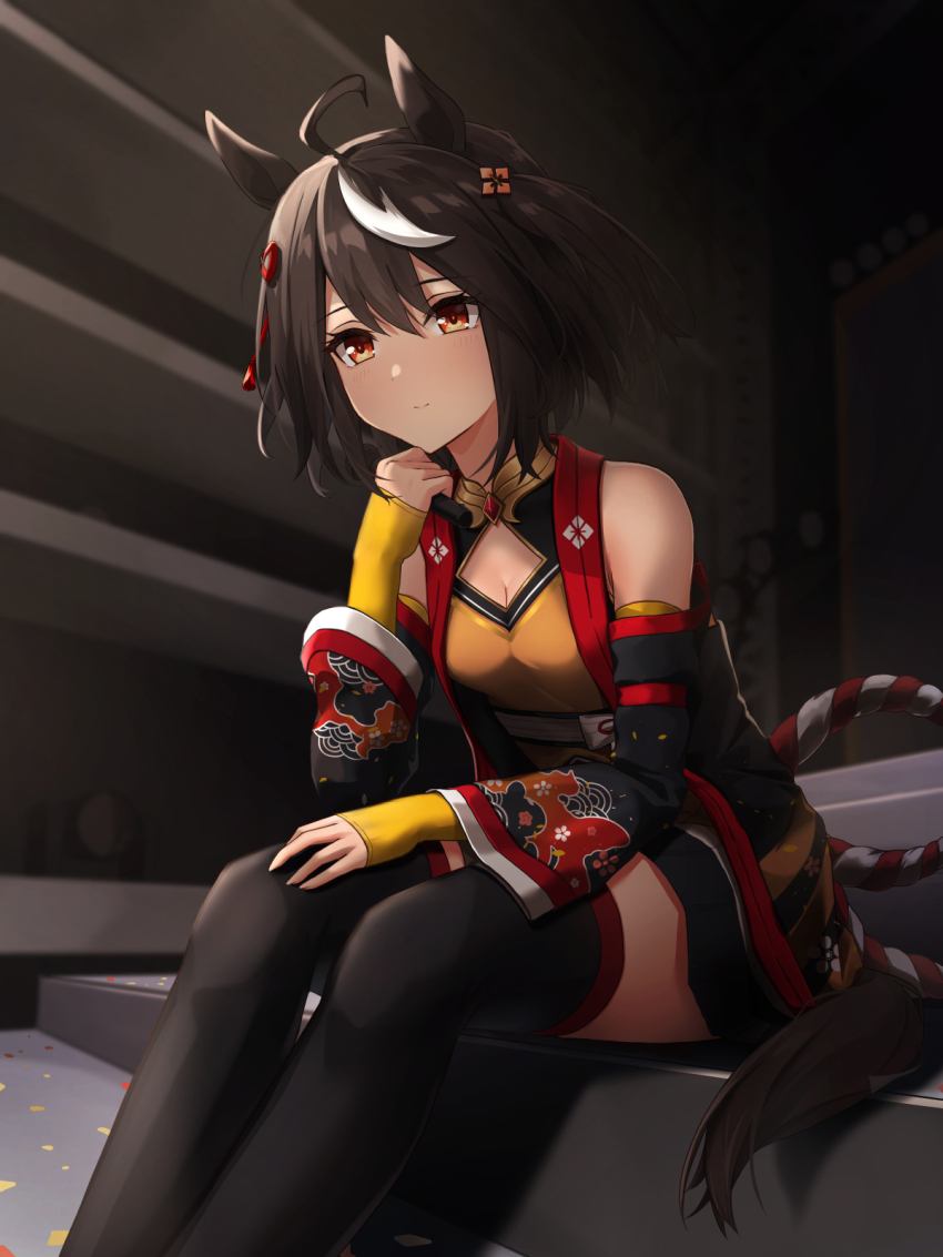 Kitasan Black (Umamusume) Rule 34 Image