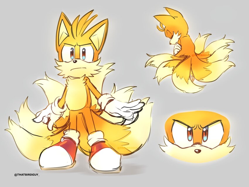 Sonic (Series) Rule 34 Image