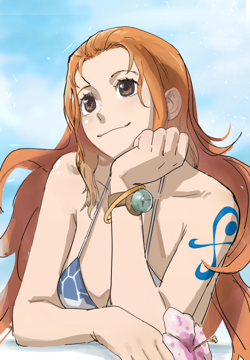 Nami (One Piece) Rule 34 Image