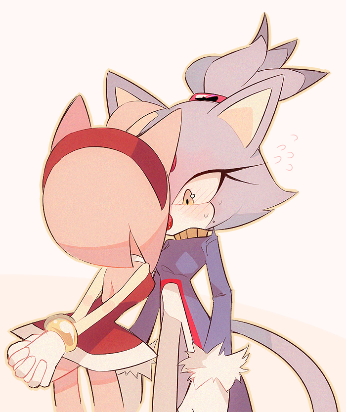 Amy Rose (Sonic (Series)) Rule 34 Image