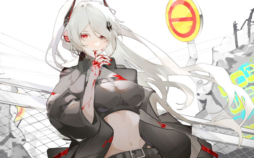 Punishing: Gray Raven Rule 34 Image