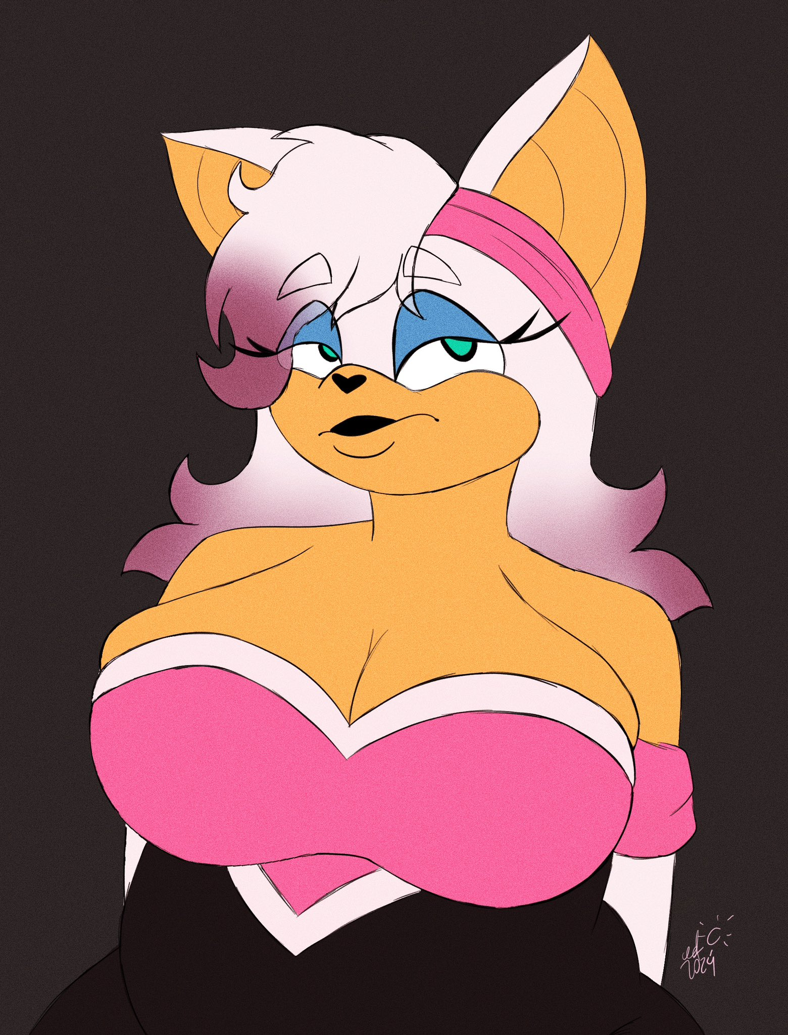 Rouge The Bat (Sonic (Series)) Rule 34 Image
