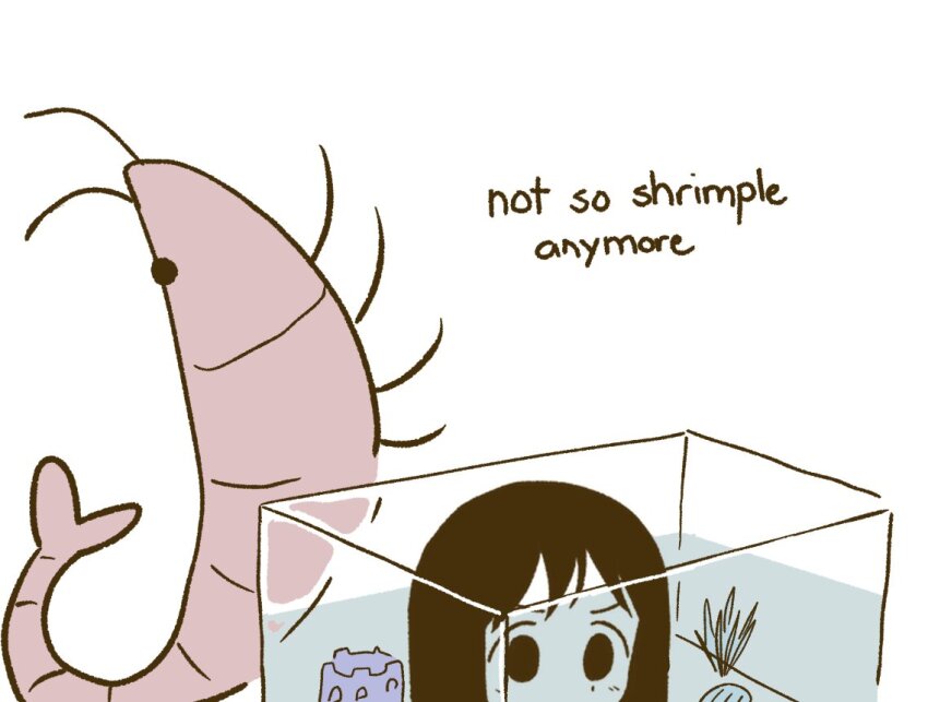 Azumanga Daiou Rule 34 Image
