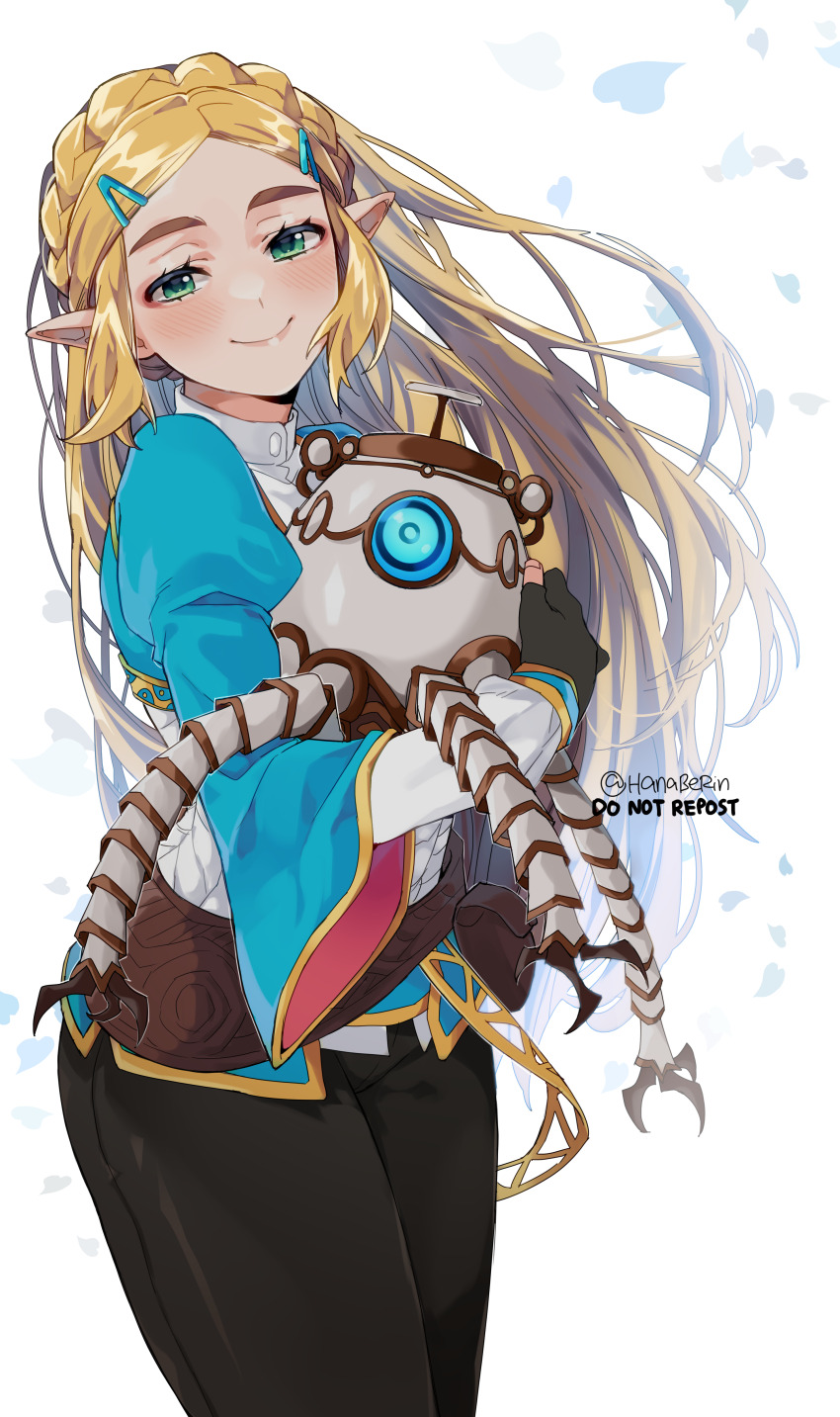 Princess Zelda (Hyrule Warriors) Rule 34 Image